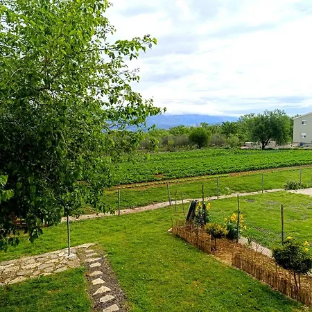 Murva Podgradina (Posedarje)