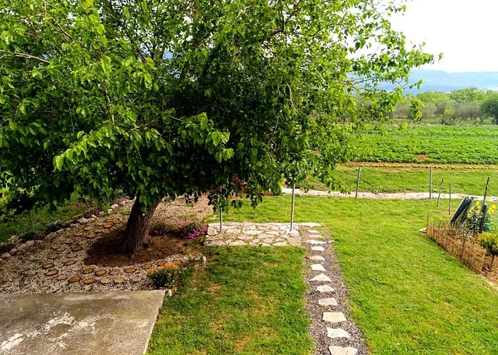 Murva לינה וארוחת בוקר 3*