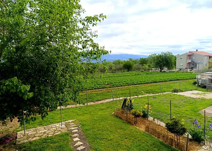 Murva Podgradina (Posedarje)